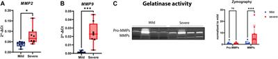 Characterization of wooden breast myopathy: a focus on syndecans and ECM remodeling